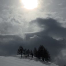 Snowscape